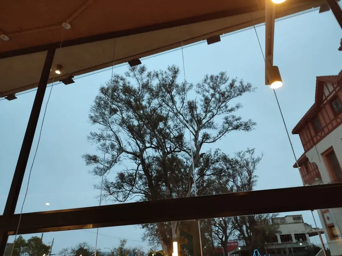 Después: Vidriera de un local en Córdoba antes de la apertura.